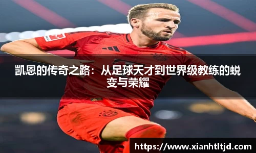 雷火电竞官网